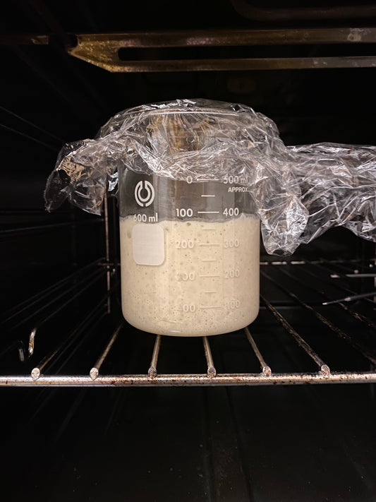 Bedienungsanleitung Sauerteig