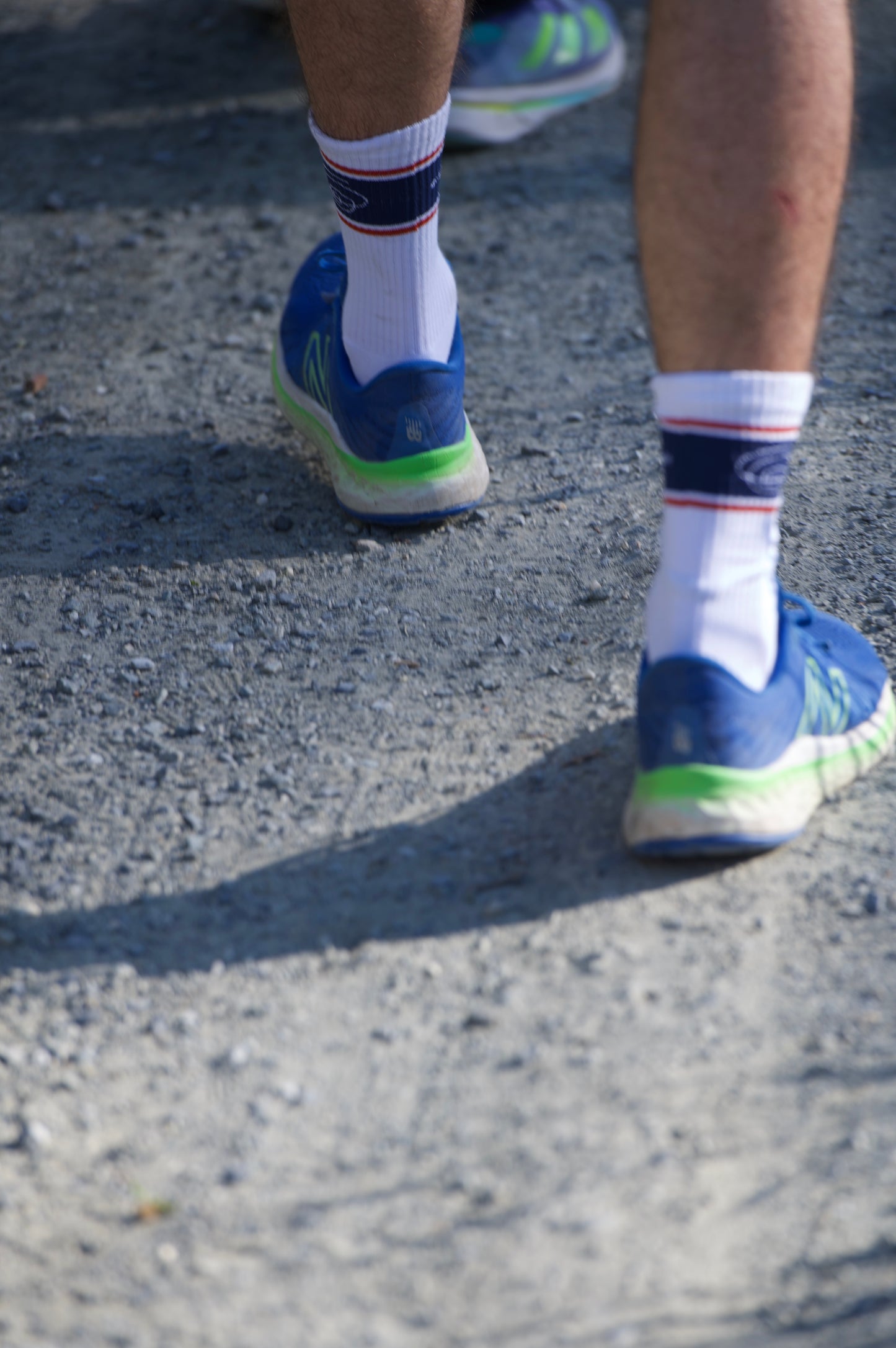 rabbithole Socken